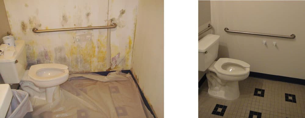 Bathroom Mold Removal