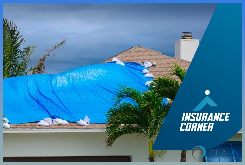 what-and-what-not-to-do-when-dealing-with-a-roof-leak-florida-public