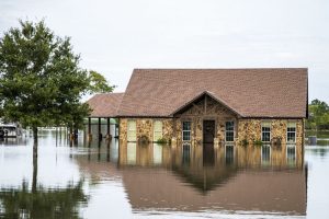 public claims adjuster for flood damage near me